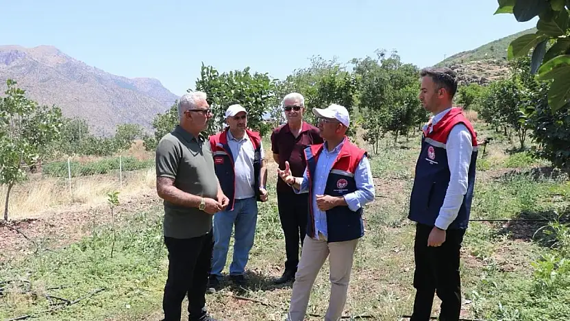 Siirt'te Çiftçilere 10 Bin Trabzon Hurması Fidanı Desteği Geliyor