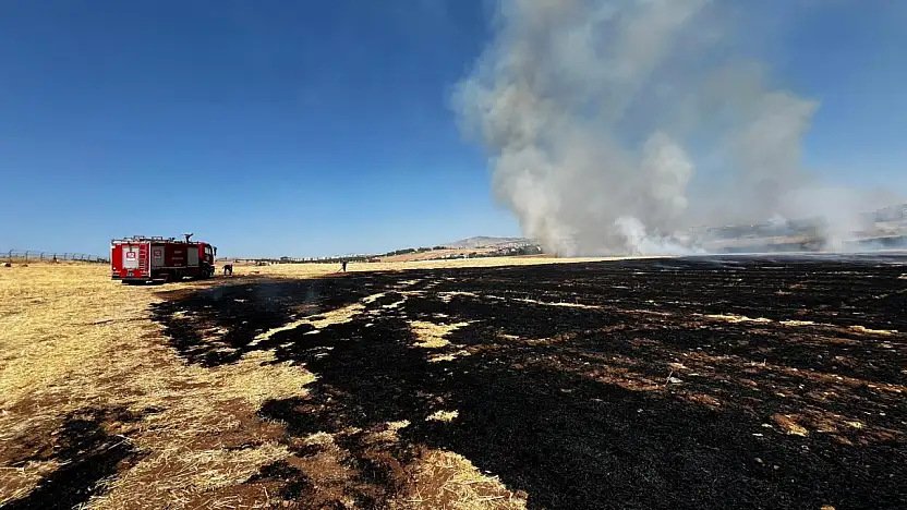 Siirt'te Hasat Sonrası Buğday Tarlasında Yangın: İtfaiye Ekipleri Hızla Müdahale Etti