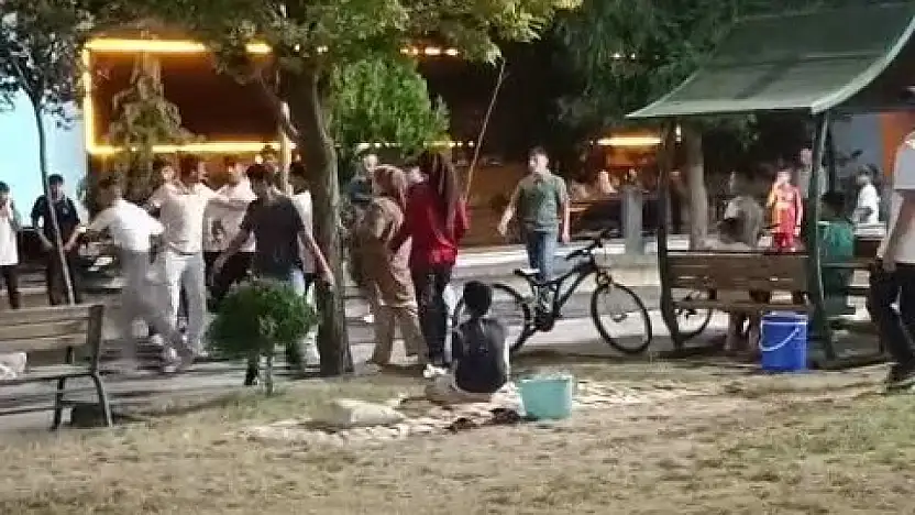 Siirt'te Parkta Gençler Arasında Kavga: Vatandaşlar Tepkili