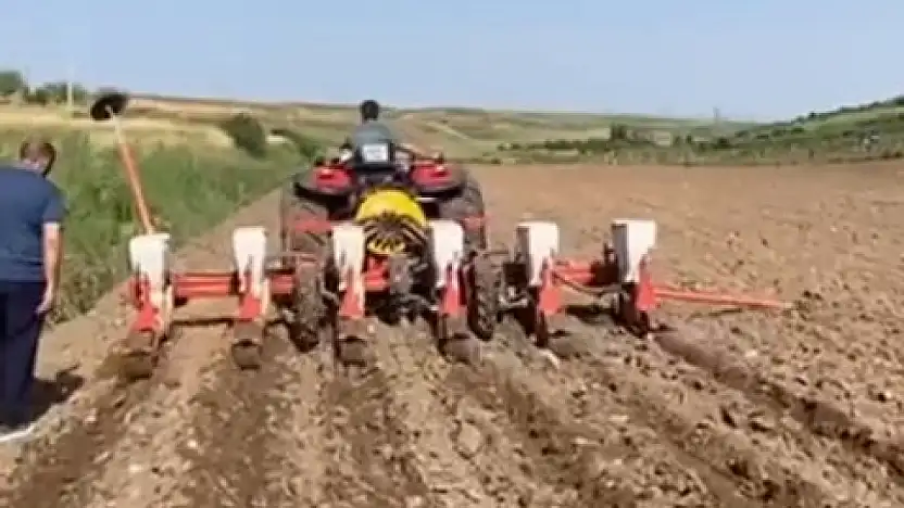 Siirt'te Tarıma Yeni Soluk: Yer Fıstığı Üretimi İçin Örnek Uygulama Başladı
