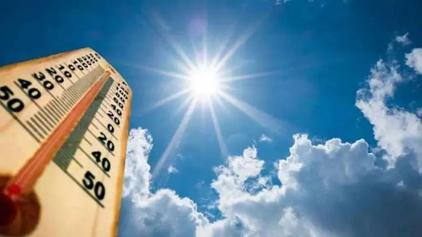 Türkiye Tarihinin En Sıcak Günü: Siirt Kurtalan'da 49.1°C ile En Sıcak Bölgelerden Biri Oldu